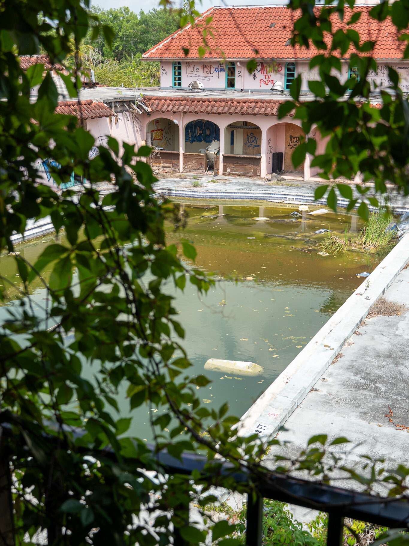 Dilapidated building with a red-tiled roof and graffiti-covered walls at the abandoned Port of the Islands Hotel in Naples, FL, which has since been demolished. Overgrown foliage partially obscures the structure, while a murky, algae-filled swimming pool with floating debris sits in the foreground. The image captures the eerie atmosphere of decay and the gradual reclamation of the site by nature.